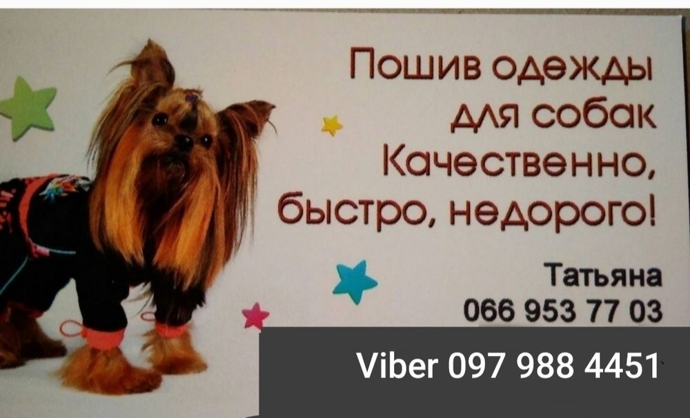 Нові зимові комбінезони для собачок