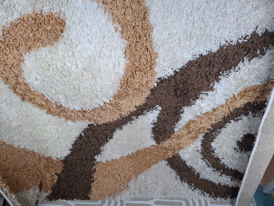 Dywan shaggy do domu