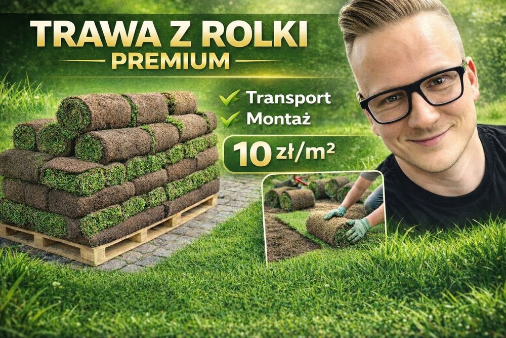 Trawa z Rolki Premium  ! Prosto z plantacji ! Certyfikat ! Chłodzona !