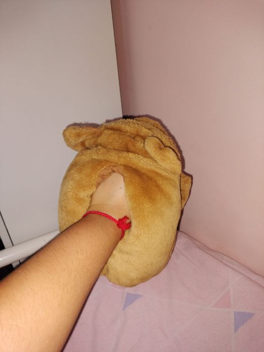 Cão  de  peluche