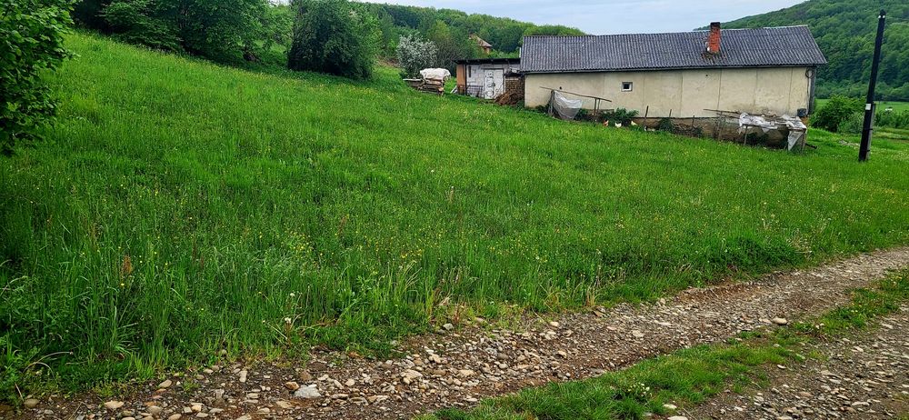 Земля під сільськогосподарське призначення