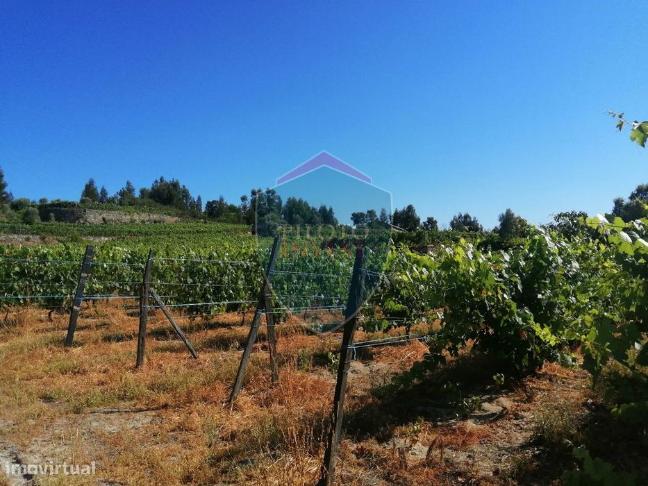 Quinta  Venda em Silgueiros,Viseu