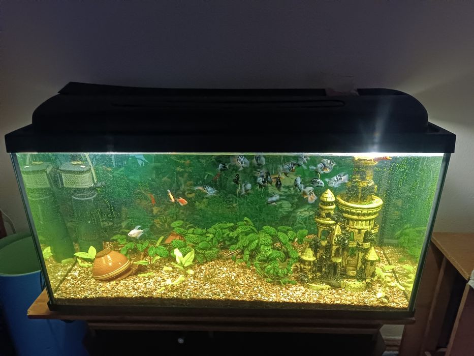 Акваріум 200 л..