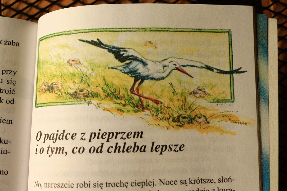 Kajtkowe przygody Maria Kownacka lektura książka i audiobook