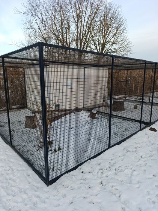 Woilera, klatka dla drobiu