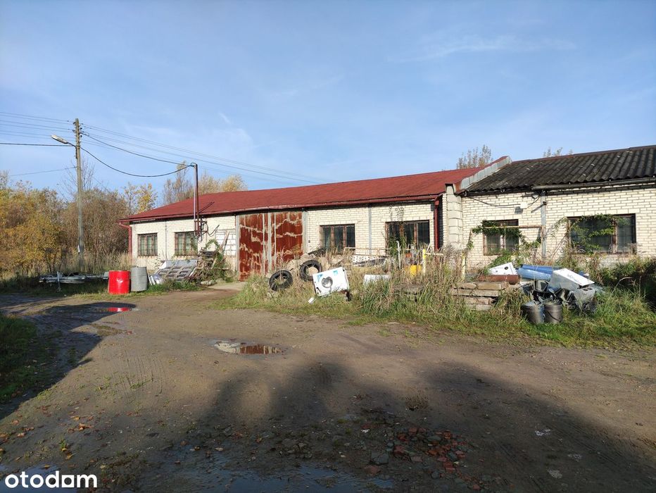 Hala/Magazyn 646 m² / działka 9633 m²/MPZP - Usługi/Produkcja/Magazyny - Widok 5