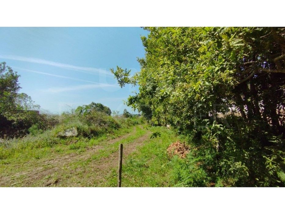 Terreno para Construção- Areosa, Viana do Castelo — Carreço, Viana do Castelo