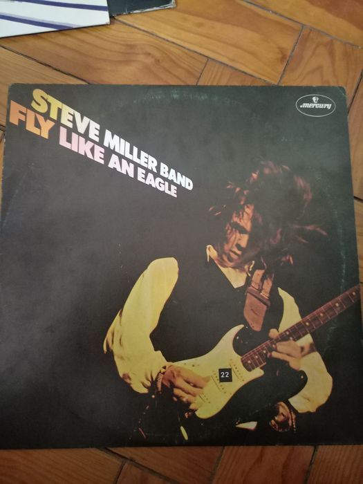 Discos de vinil , LPs