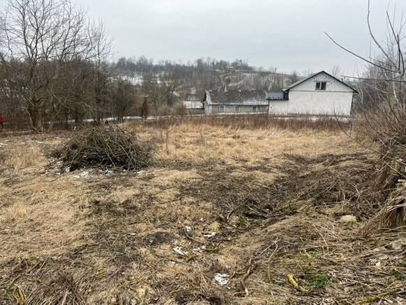 Будинок в селі Ридомиль