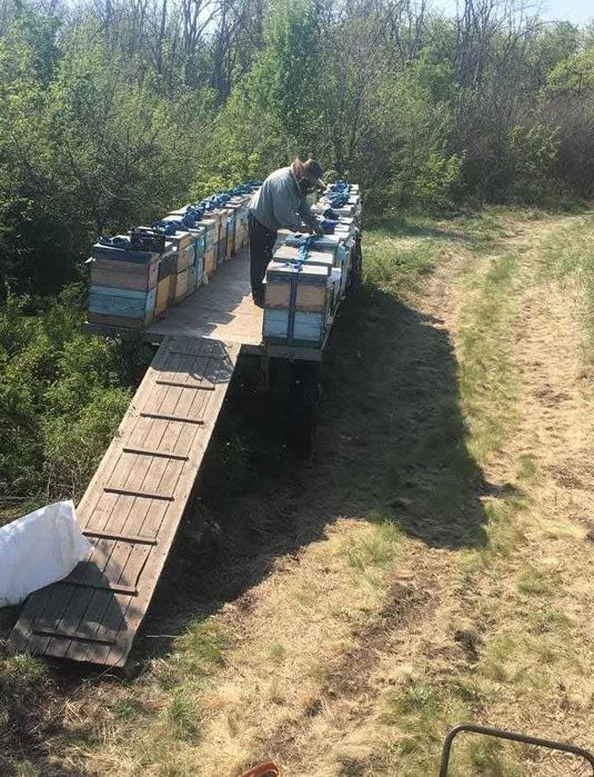 Причіп-платформа для пасіки