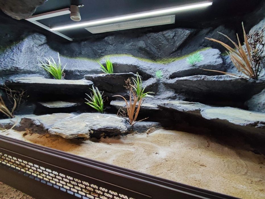 Terrarium 120x60x60 agama legwan gekon jaszczurka PETMARKET