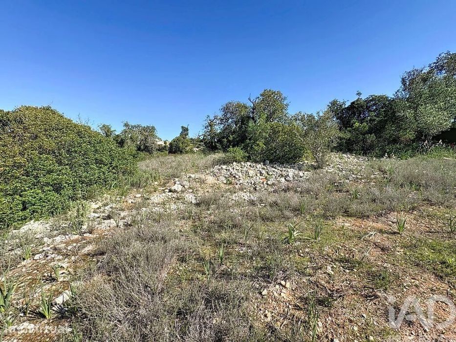 Terreno Agrícola em Algoz e Tunes