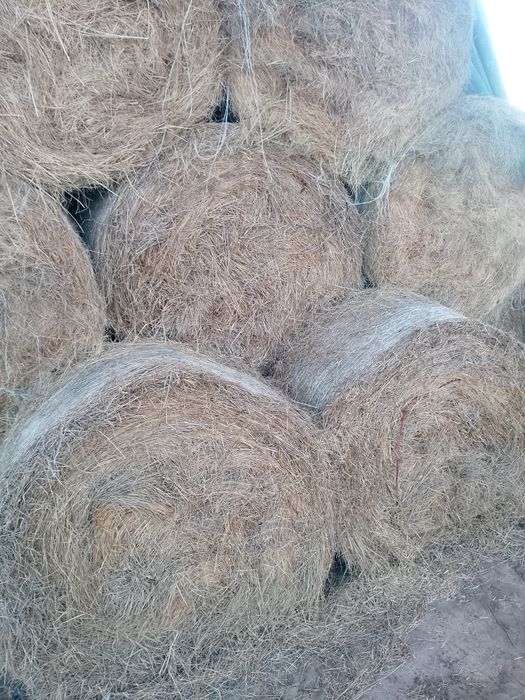 Sprzedam Siano i słoma