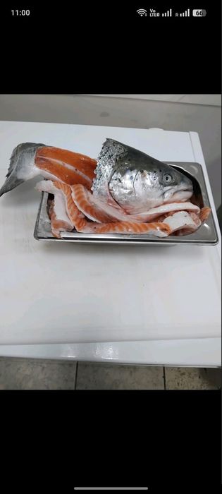 Ruba Głowa, grzbiet łososia