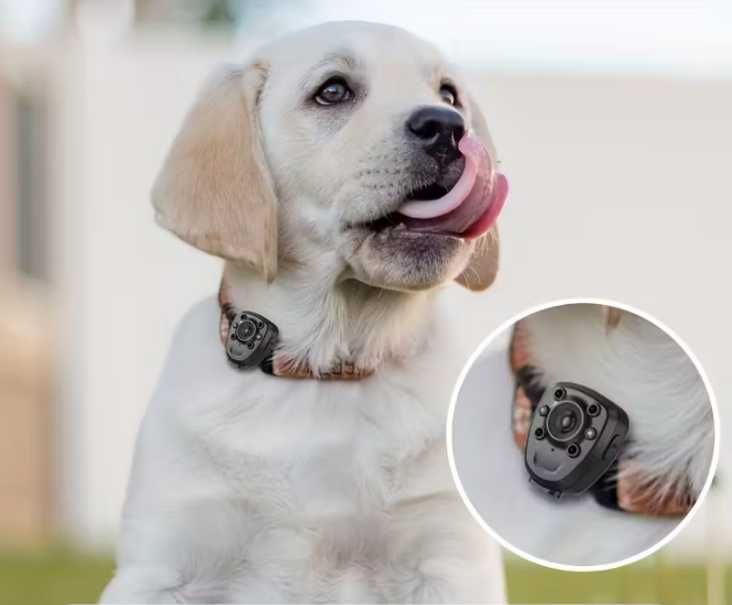 Видеорегистратор НОСИМЫЙ для фиксации незаконных действий.