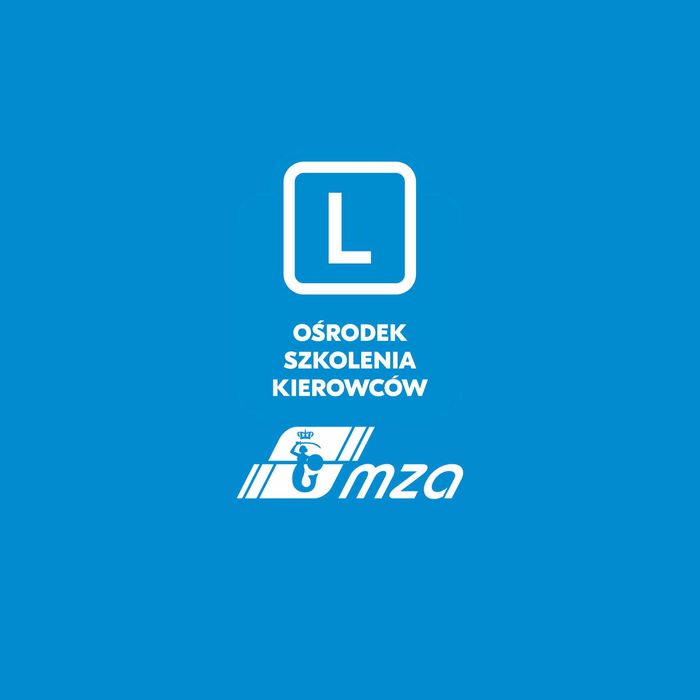 Mój cel – kurs na kierowcę zawodowego kat. D/C/C+E