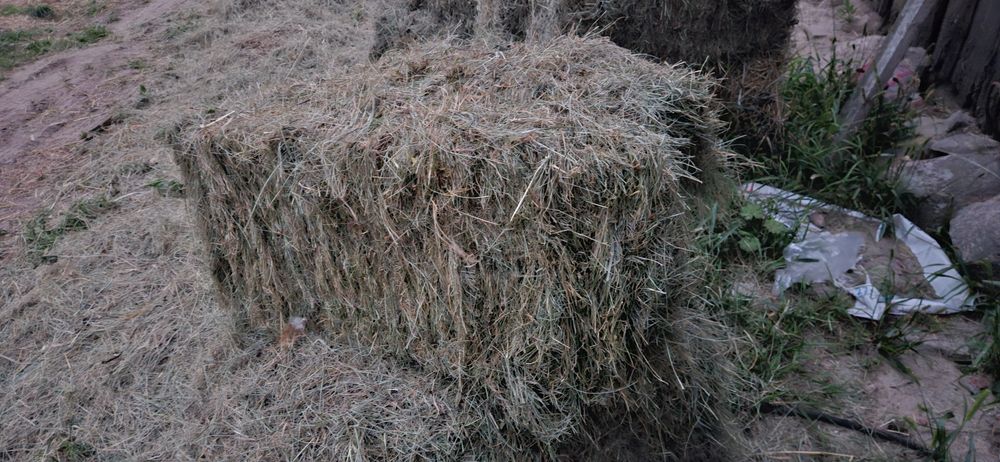 Siano w kostkach DRUGI Pokos POtraw ( paczki kostki)