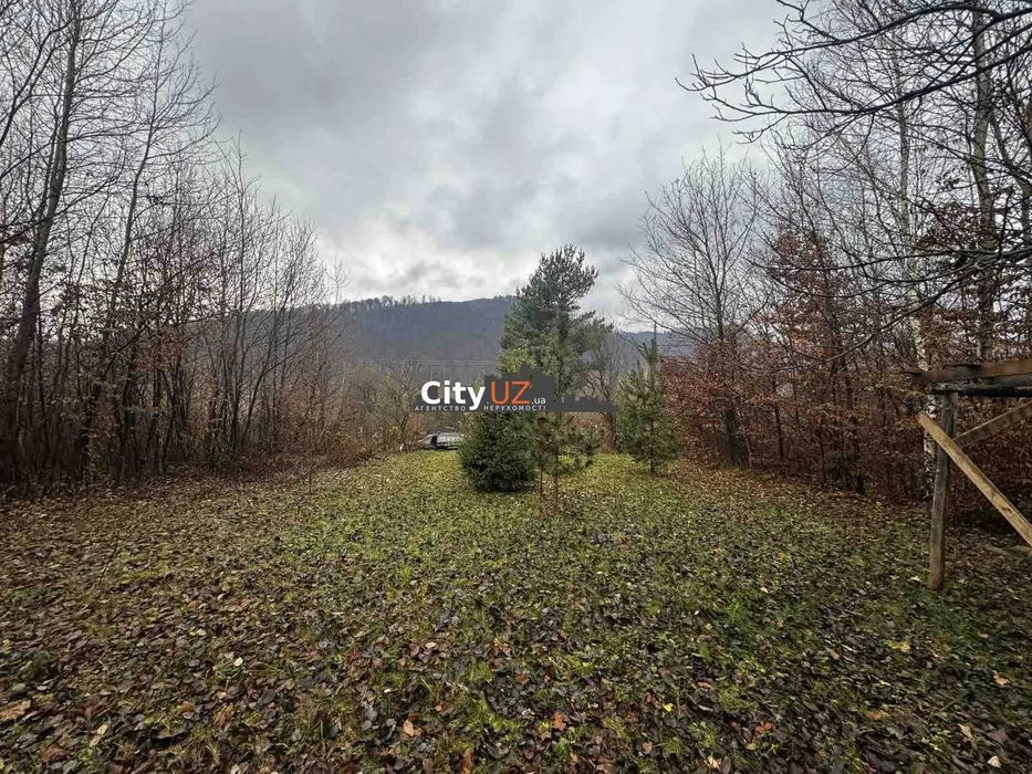 Продається ділянка у Ворочеві