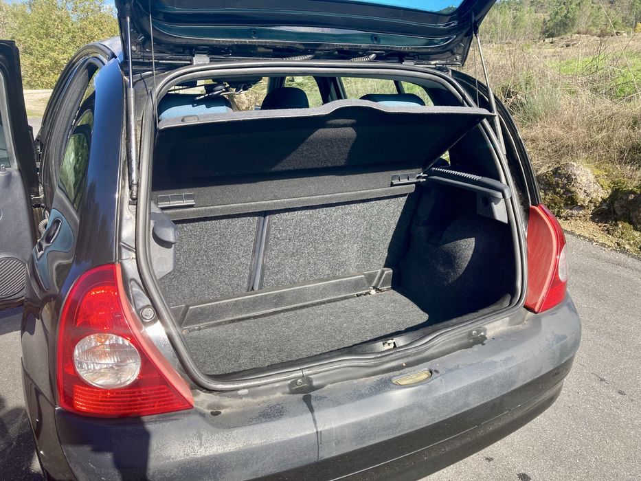 Renault Clio Billabong