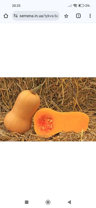 Сік гарбузовий 100 відсотковий сік.