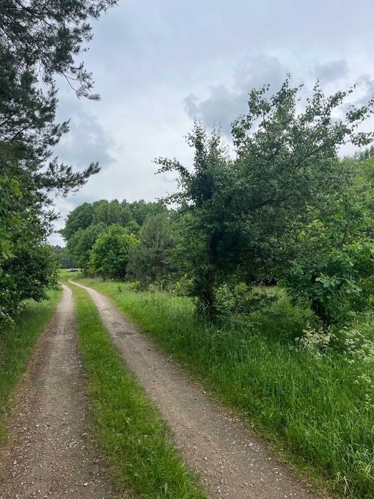 Malczyn gm. Nasielsk działka 1,23 ha - Więcej