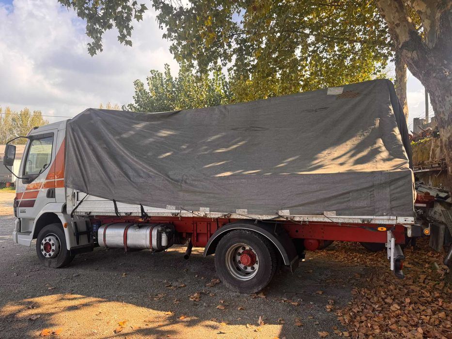 DAF LF 45.220 - 2005