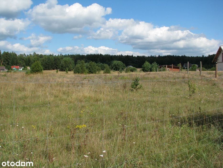 Atrakcyjna działka w sercu Puszczy Augustowskiej, 10 min. od Augustowa