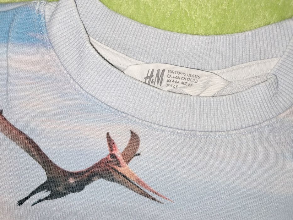 Bluza H&M 110 116 dinozaury t-rex