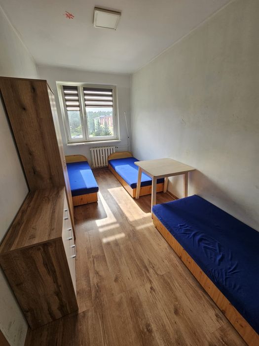 Mieszkanie dla firm ul. Matejki