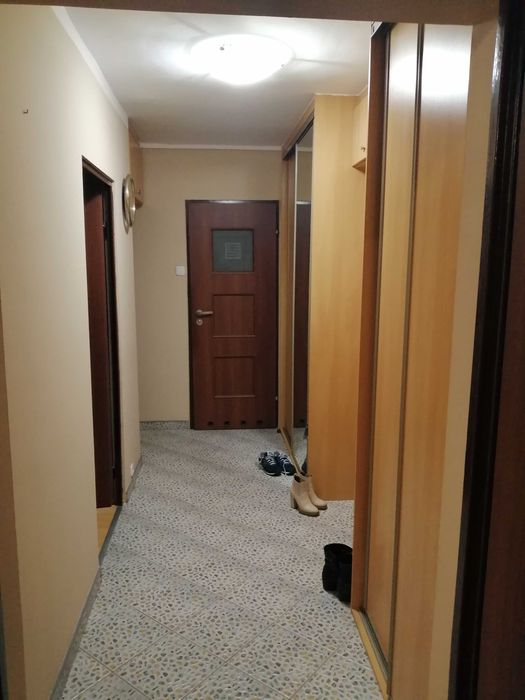 Wynajem mieszkania Katowice - Więcej