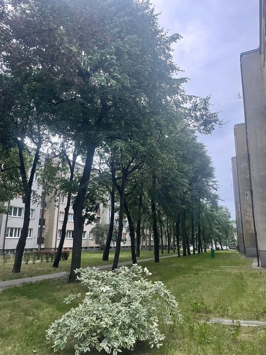 Na sprzedaż 2-pokojowe mieszkanie w centrum Piaseczna – 34 m², 1. piętro