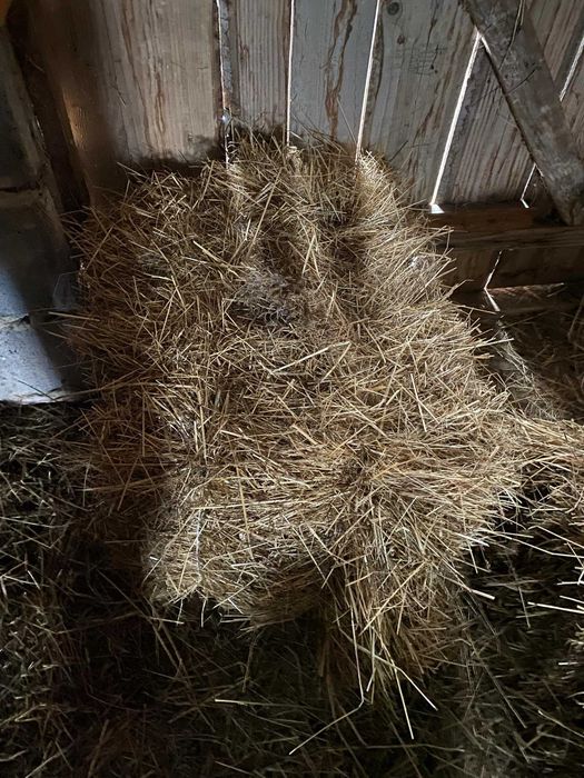 Gospodarstwo domowe siano