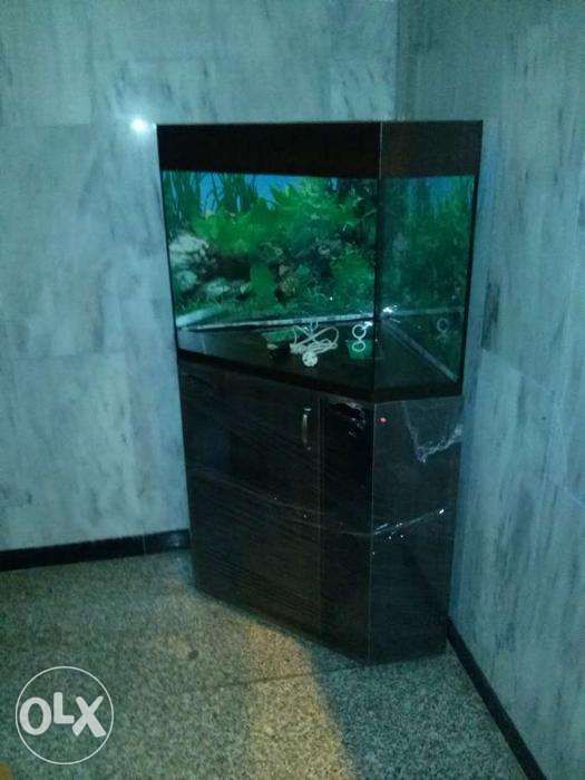 Акваріум Новий ( з кришкою і заднім фоном) 15-120л