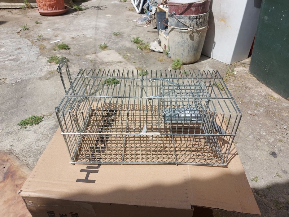 Armadilha para capturar ratos, ratazanas e outros roedores.