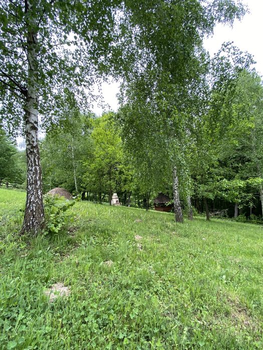 Будинок в карпатах - Bild 3