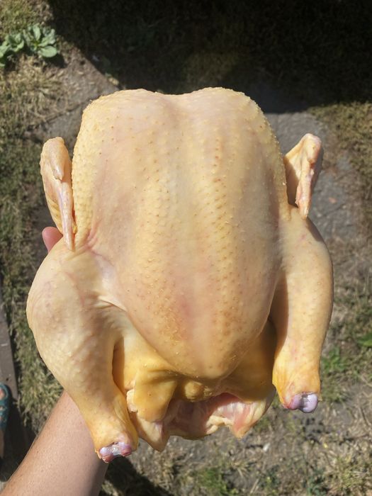 Смачний домашній бройлер