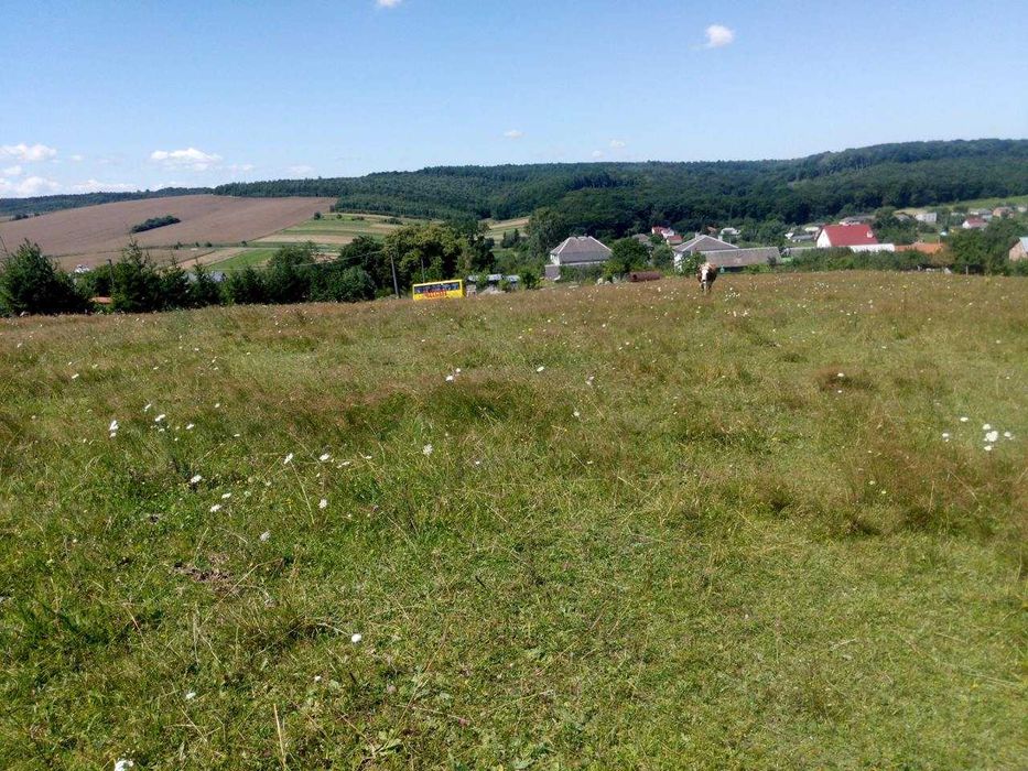 Продаж Земельної Ділянки с. Лани