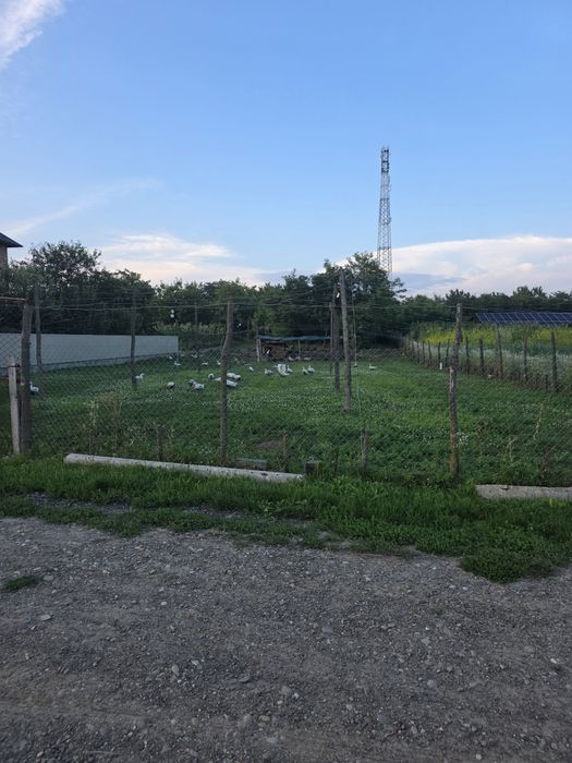 Продаж землі у місті Герца - Вид 2