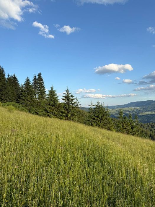 Продаж видової ділянки, поруч комунікації та гарний заїзд