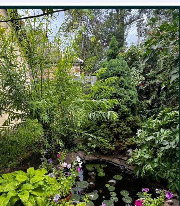 Продам дом в Манченках Участок 15 соток Газовое отопление ТихийTB раон