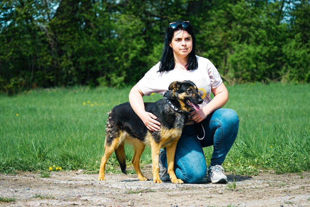 Mewa - śliczna suczka