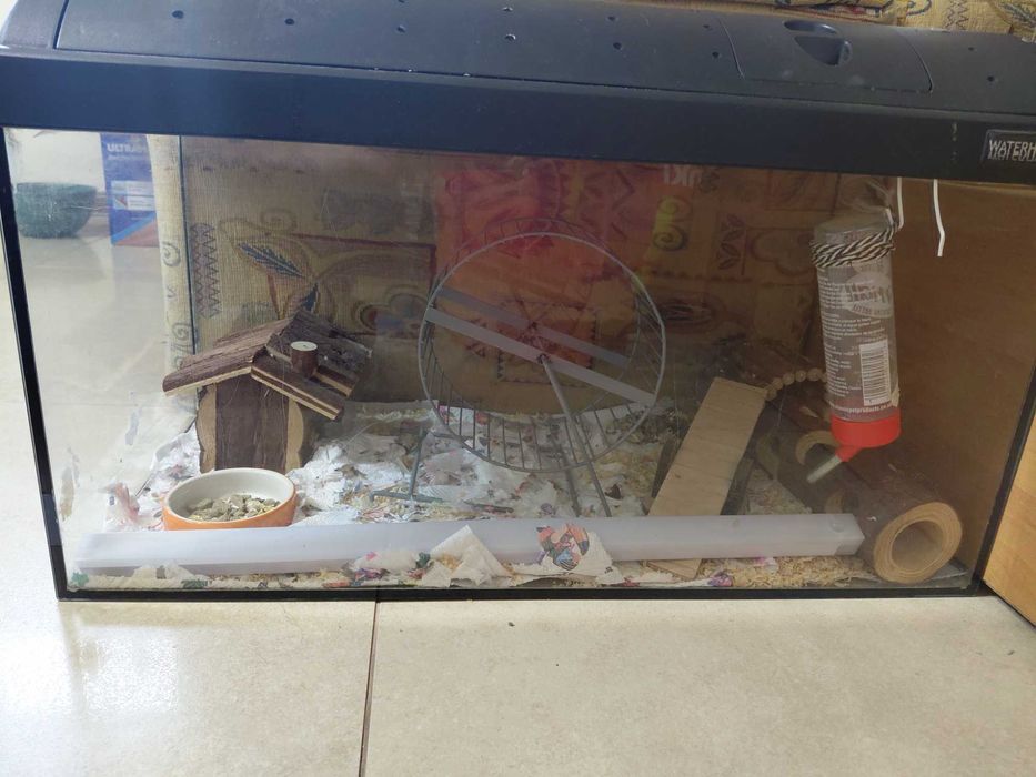 Akwarium/ terarium dla gryzoni