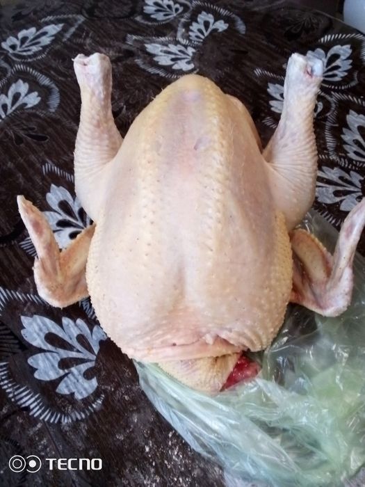 Тушка домашніх бройлерів