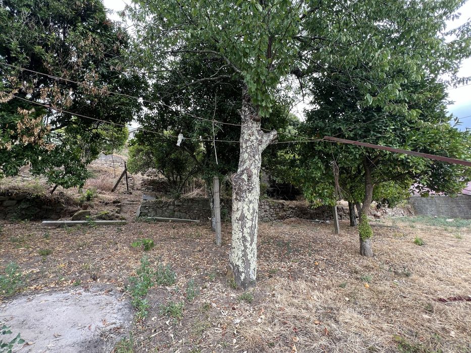 Terreno de Lazer com Vista Panorâmica para o Rio Paiva (1.005 m²) – Souselo, Cinfães