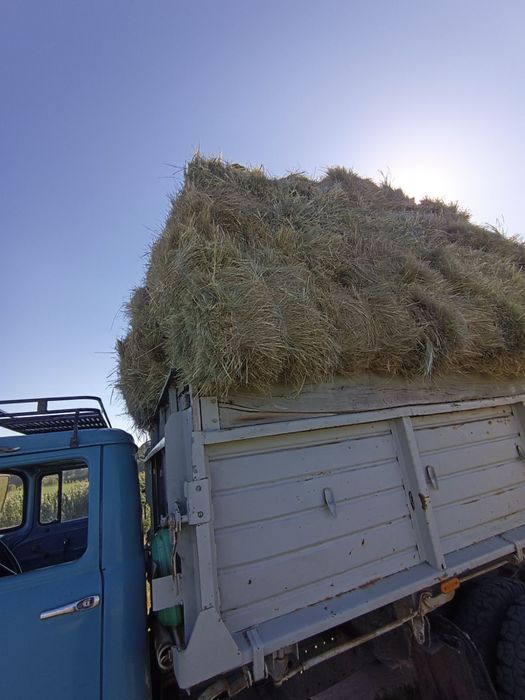 Продам сіно лугове в тюках