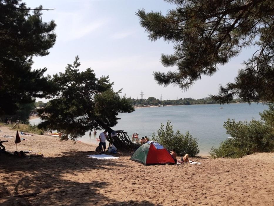 Продам 25c.  берег Орели с. Елизаветовка