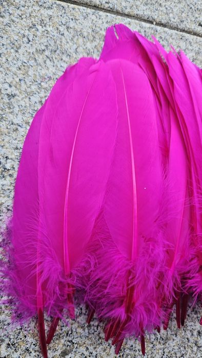 Lote 100 penas galo rosas 15-20 cm