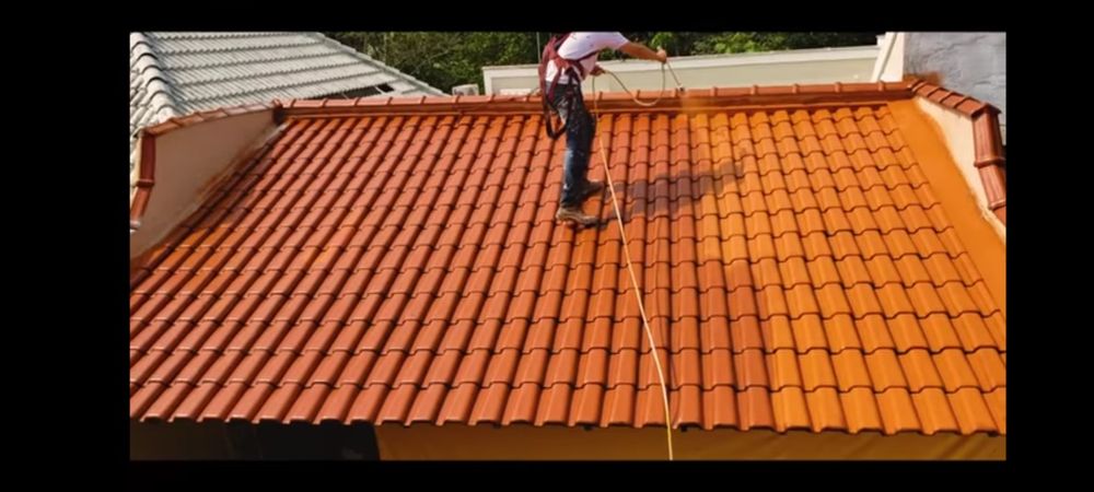 Limpezas gerais {terrenos,jardins é muito mais} venda de lenha