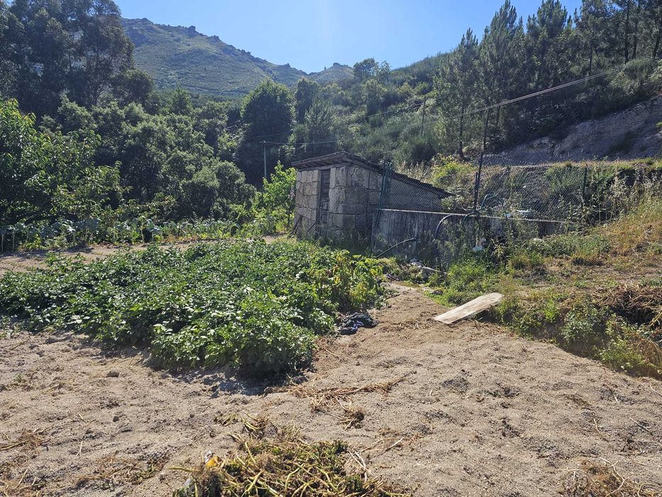 Terreno urbano para venda - Tapada - Alvite Cabeceiras de Basto