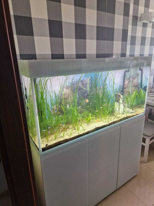 Kompletny Zestaw Akwarium z szafką AQUAEL GLOSSY 120 260L Zestaw biały